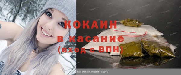 стаф Осинники