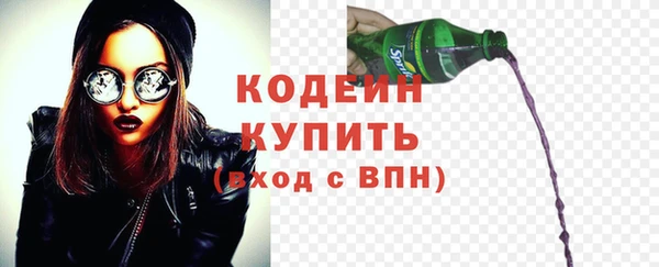 стаф Осинники