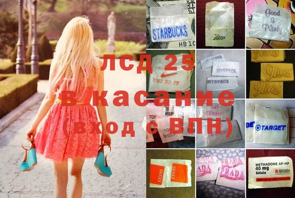 стаф Осинники