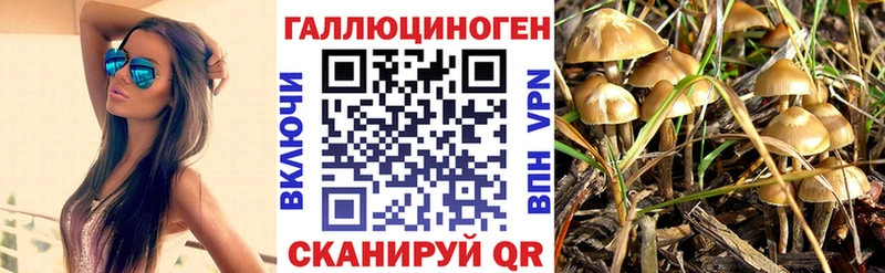 ссылка на мегу как зайти  Власиха  Псилоцибиновые грибы GOLDEN TEACHER 
